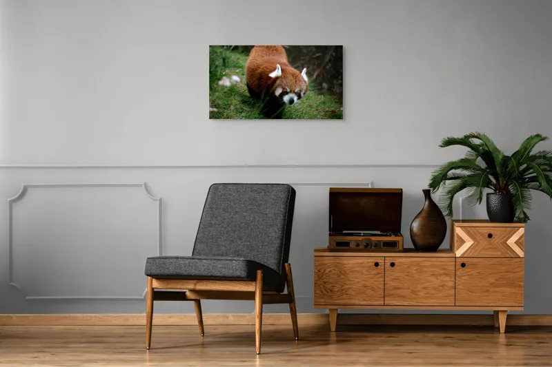 Tablou Canvas, "Mic panda roșu în habitat natural", 90 x 50 cm – poza 6