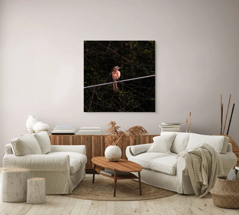 Tablou Canvas, "Pasărea solitară pe ramura rece", Pasăre, Creangă, Frunziș, Cablu, Întuneric, Penaj, Peisaj, Sălbăticie, 100 x 100 cm – poza 3