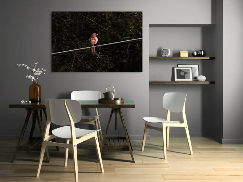 Tablou Canvas, "Pasărea solitară pe ramura rece", Pasăre, Creangă, Frunziș, Cablu, Întuneric, Penaj, Peisaj, Sălbăticie, 150 x 100 cm – poza 5