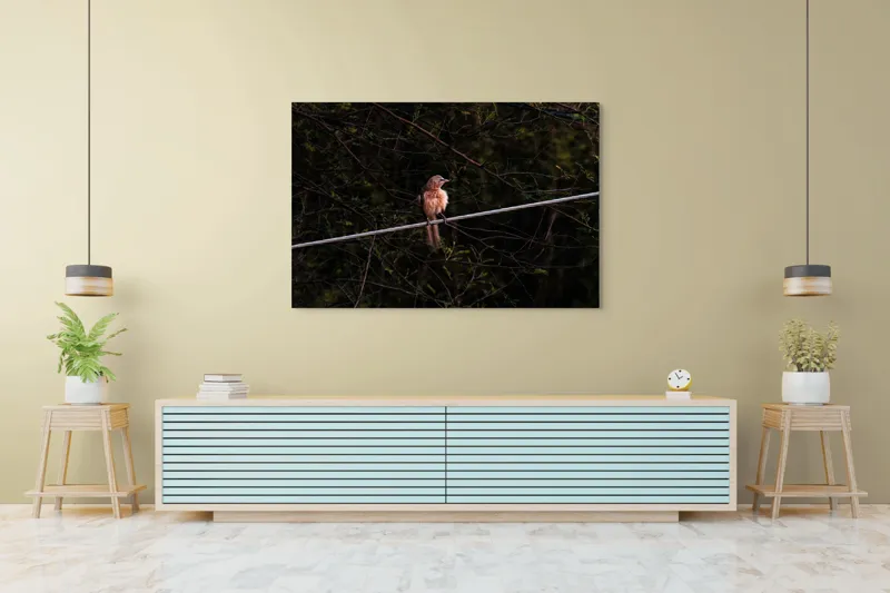 Tablou Canvas, "Pasărea solitară pe ramura rece", Pasăre, Creangă, Frunziș, Cablu, Întuneric, Penaj, Peisaj, Sălbăticie, 150 x 100 cm – poza 6