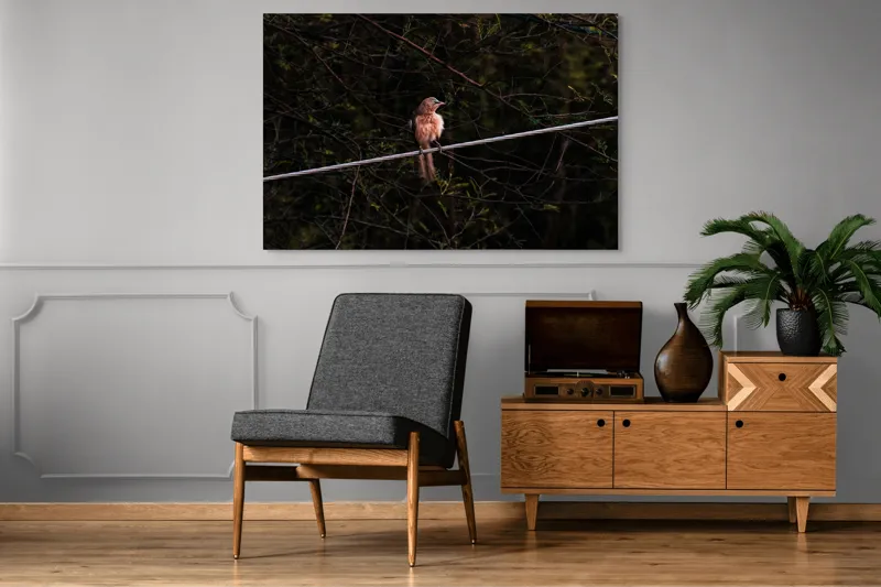 Tablou Canvas, "Pasărea solitară pe ramura rece", Pasăre, Creangă, Frunziș, Cablu, Întuneric, Penaj, Peisaj, Sălbăticie, 150 x 100 cm – poza 8