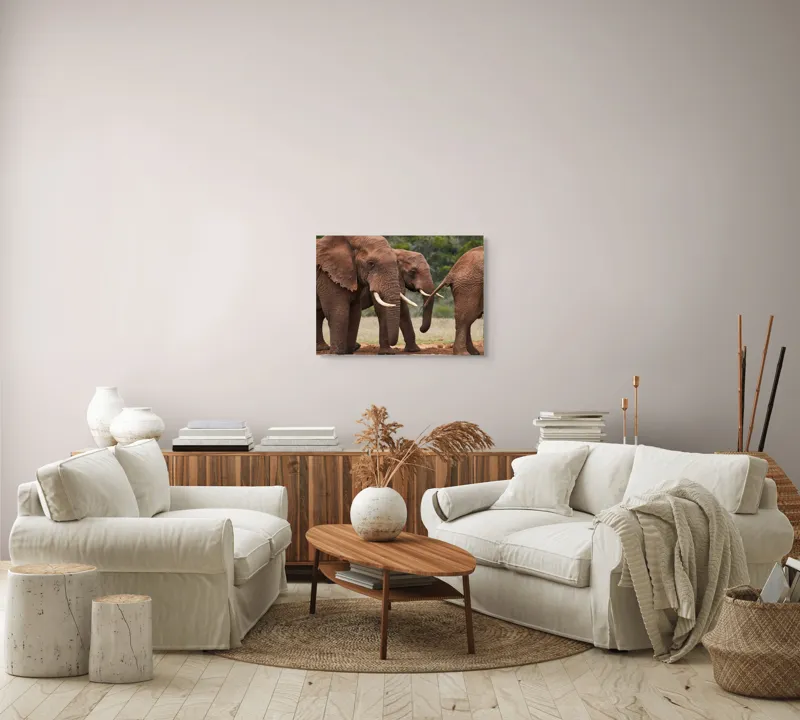 Tablou Canvas, "Elefanți în savana africană.", Elefanți, Trompe, Colți, Natură, Savana, Verziș, Grup, Blând, Greutate, 70 x 50 cm – poza 6