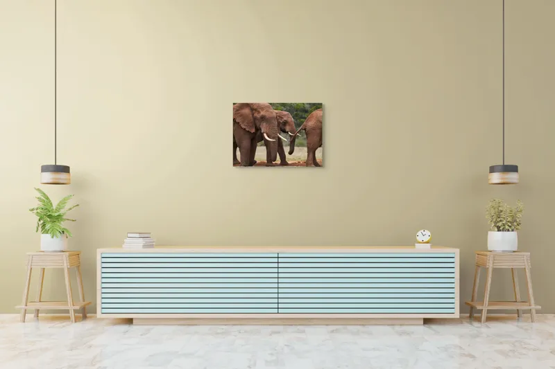 Tablou Canvas, "Elefanți în savana africană.", Elefanți, Trompe, Colți, Natură, Savana, Verziș, Grup, Blând, Greutate, 70 x 50 cm – poza 7