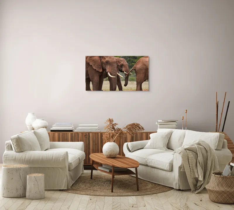 Tablou Canvas, "Elefanți în savana africană.", Elefanți, Trompe, Colți, Natură, Savana, Verziș, Grup, Blând, Greutate, 90 x 50 cm – poza 4