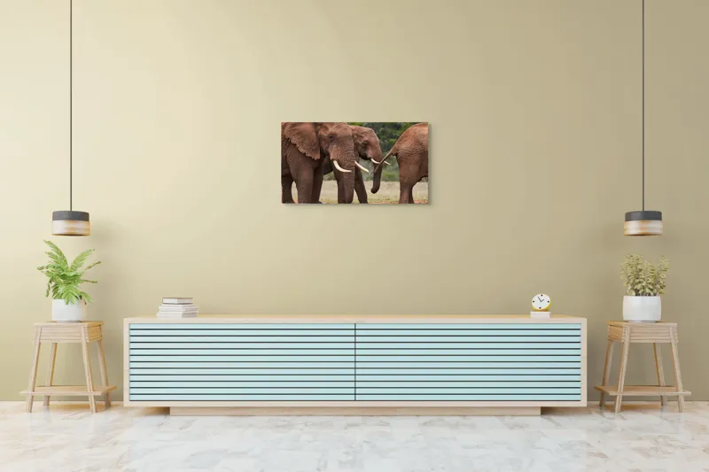 Tablou Canvas, "Elefanți în savana africană.", Elefanți, Trompe, Colți, Natură, Savana, Verziș, Grup, Blând, Greutate, 90 x 50 cm – poza 5