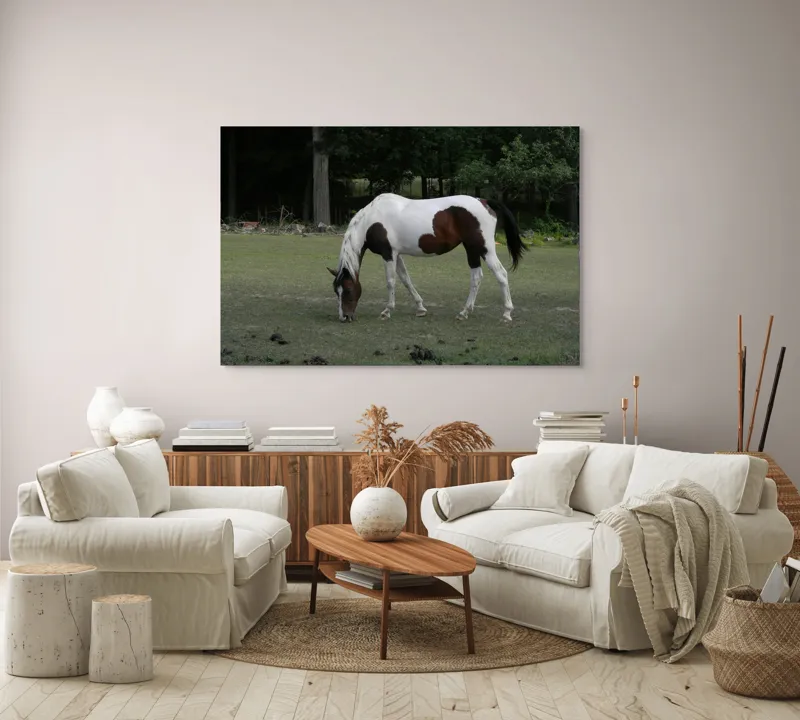 Tablou Canvas, "Cal pestriț păscând în liniște", Cal, Pășune, Copaci, Natură, Relaxare., 150 x 100 cm – poza 3