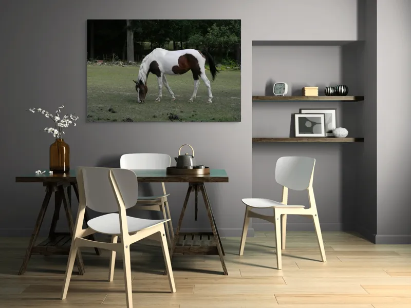 Tablou Canvas, "Cal pestriț păscând în liniște", Cal, Pășune, Copaci, Natură, Relaxare., 150 x 100 cm – poza 5
