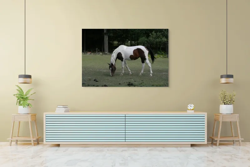 Tablou Canvas, "Cal pestriț păscând în liniște", Cal, Pășune, Copaci, Natură, Relaxare., 150 x 100 cm – poza 6