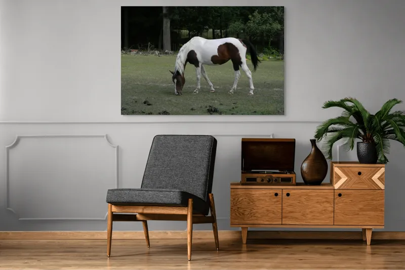 Tablou Canvas, "Cal pestriț păscând în liniște", Cal, Pășune, Copaci, Natură, Relaxare., 150 x 100 cm – poza 8