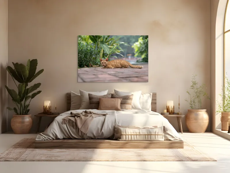 Tablou Canvas, "Pisica portocalie pe alee pavată", Pisică, Portocalie, Relaxare, Pavaj, Vegetație, Gard, Zile, Vară, 150 x 100 cm – poza 4