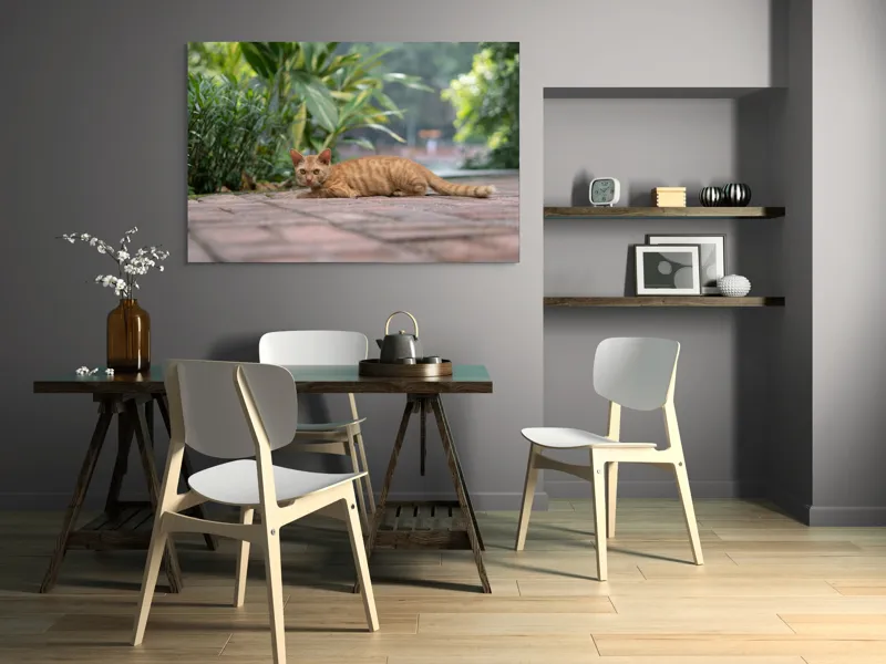 Tablou Canvas, "Pisica portocalie pe alee pavată", Pisică, Portocalie, Relaxare, Pavaj, Vegetație, Gard, Zile, Vară, 150 x 100 cm – poza 5