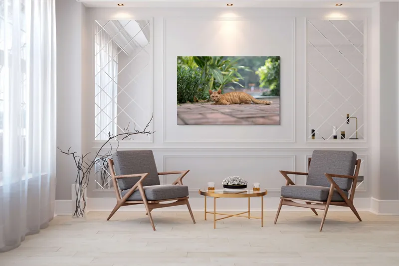 Tablou Canvas, "Pisica portocalie pe alee pavată", Pisică, Portocalie, Relaxare, Pavaj, Vegetație, Gard, Zile, Vară, 150 x 100 cm – poza 7