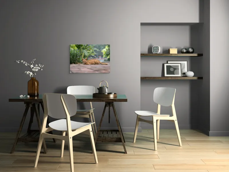 Tablou Canvas, "Pisica portocalie pe alee pavată", Pisică, Portocalie, Relaxare, Pavaj, Vegetație, Gard, Zile, Vară, 70 x 50 cm – poza 5