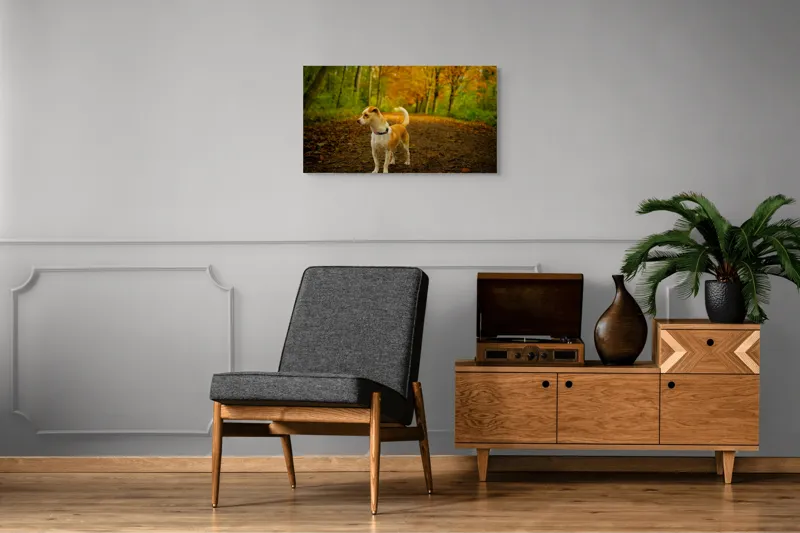 Tablou Canvas, "Cățel în pădurea de toamnă", Câine, Alee, Frunze, Toamnă, Pădure, Verde, Portocaliu, Plimbare, Natură, Frumusețe, 90 x 50 cm – poza 6