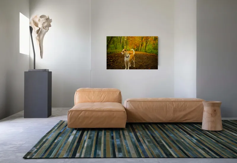 Tablou Canvas, "Cățel în pădurea de toamnă", Câine, Alee, Frunze, Toamnă, Pădure, Verde, Portocaliu, Plimbare, Natură, Frumusețe, 90 x 50 cm – poza 8