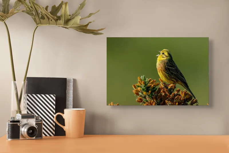 Tablou Canvas, "Cinteză cântând pe ramură înflorită", Pasăre, Cântătoare, Ramură, Verde, Cer Senin, Natură, Galben, Aripi, Libertate, Serenitate, 39 x 26 cm – poza 3