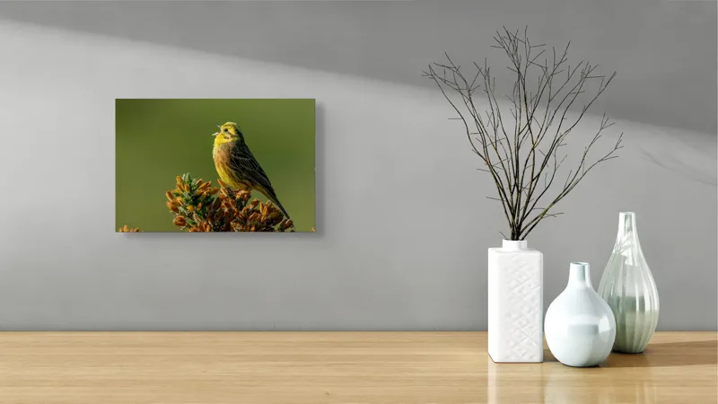 Tablou Canvas, "Cinteză cântând pe ramură înflorită", Pasăre, Cântătoare, Ramură, Verde, Cer Senin, Natură, Galben, Aripi, Libertate, Serenitate, 39 x 26 cm – poza 8