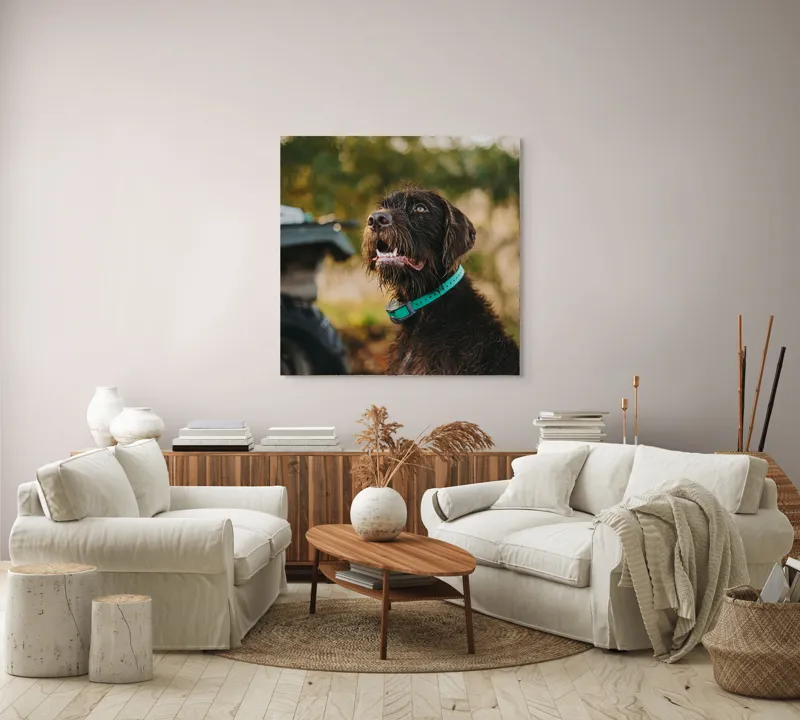 Tablou Canvas, "Câinele fericit în natură verde", 100 x 100 cm – poza 3