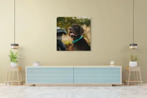 Tablou Canvas, "Câinele fericit în natură verde", 100 x 100 cm – poza 5