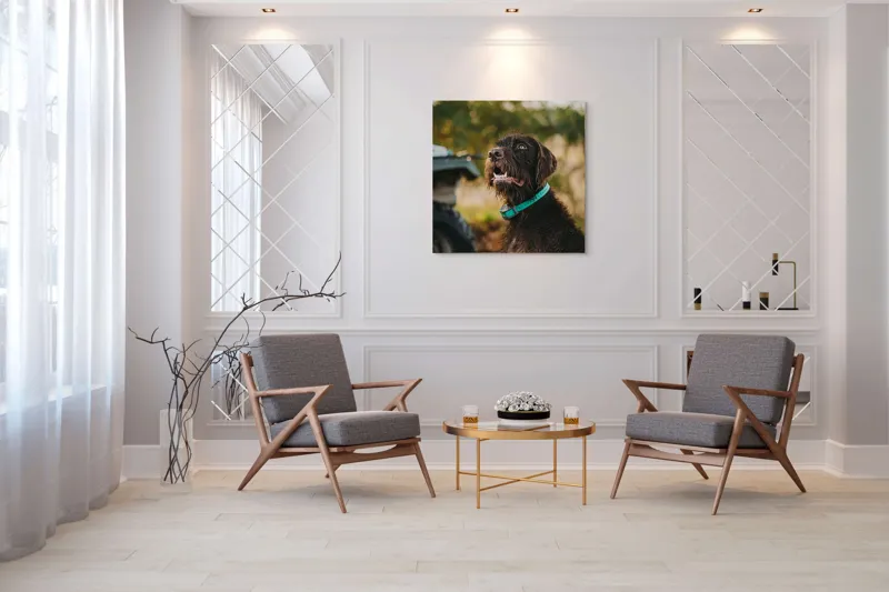 Tablou Canvas, "Câinele fericit în natură verde", 100 x 100 cm – poza 7
