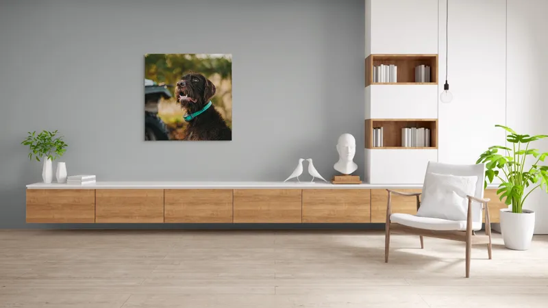Tablou Canvas, "Câinele fericit în natură verde", 100 x 100 cm – poza 8