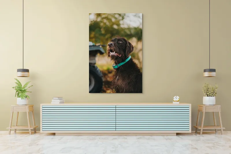 Tablou Canvas, "Câinele fericit în natură verde", 100 x 150 cm – poza 4