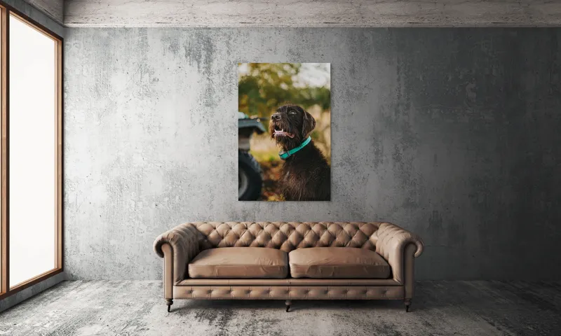Tablou Canvas, "Câinele fericit în natură verde", 100 x 150 cm – poza 6