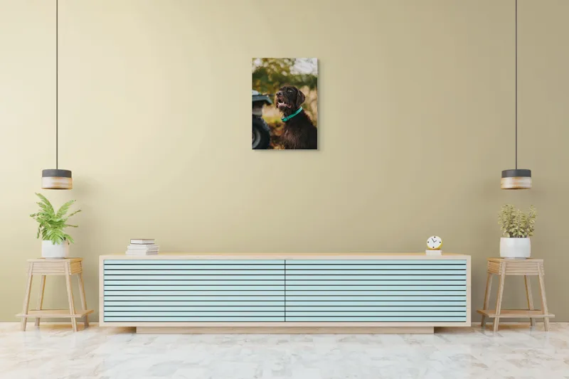 Tablou Canvas, "Câinele fericit în natură verde", 50 x 70 cm – poza 6