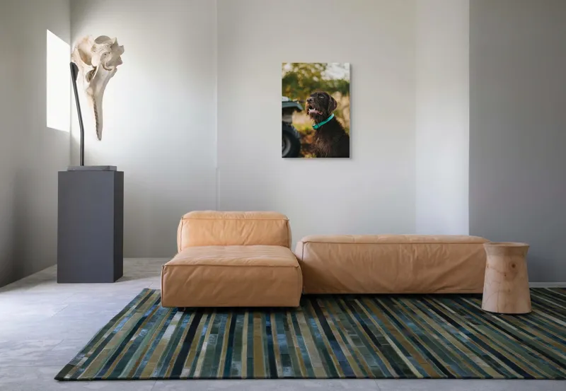 Tablou Canvas, "Câinele fericit în natură verde", 50 x 70 cm – poza 7
