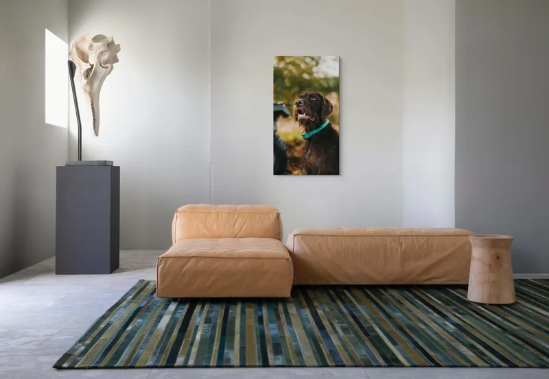 Tablou Canvas, "Câinele fericit în natură verde", 50 x 90 cm – poza 5