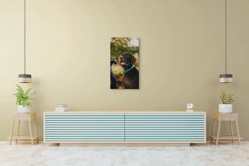 Tablou Canvas, "Câinele fericit în natură verde", 50 x 90 cm – poza 6