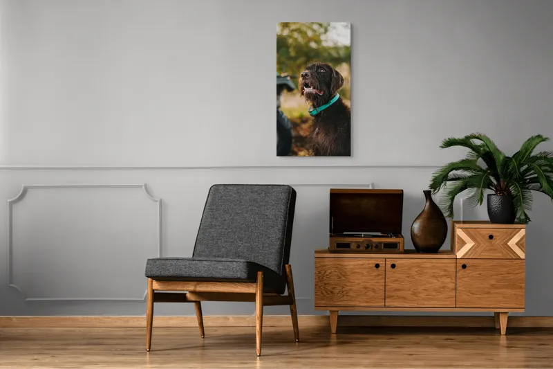 Tablou Canvas, "Câinele fericit în natură verde", 50 x 90 cm – poza 8