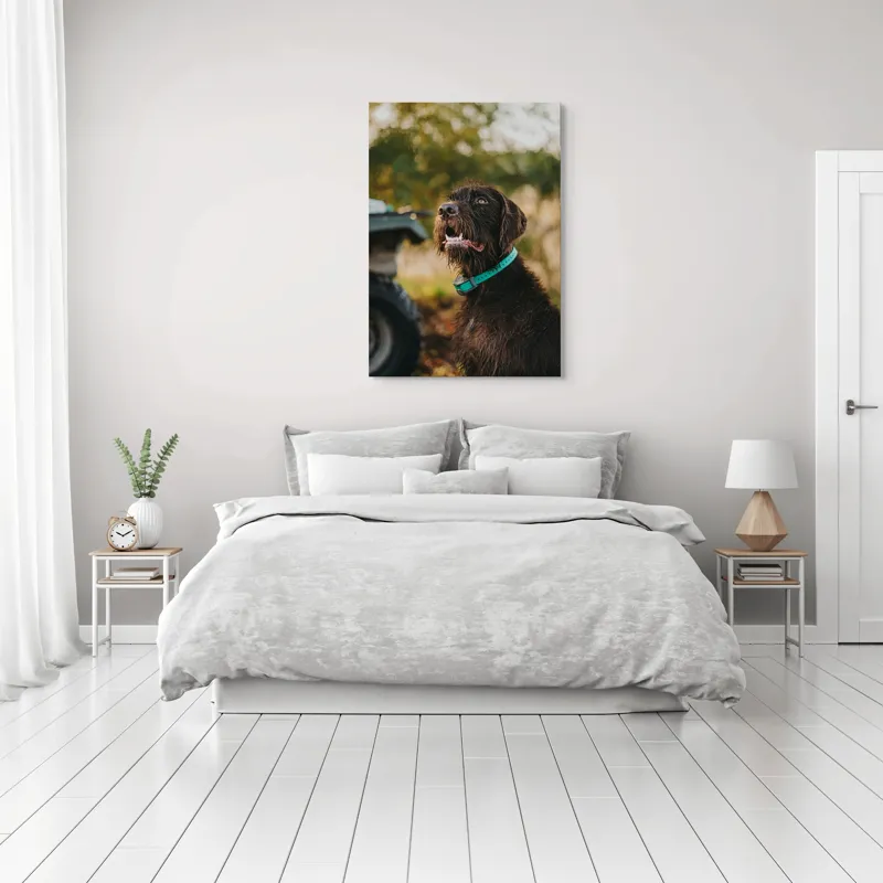 Tablou Canvas, "Câinele fericit în natură verde", 70 x 100 cm – poza 3
