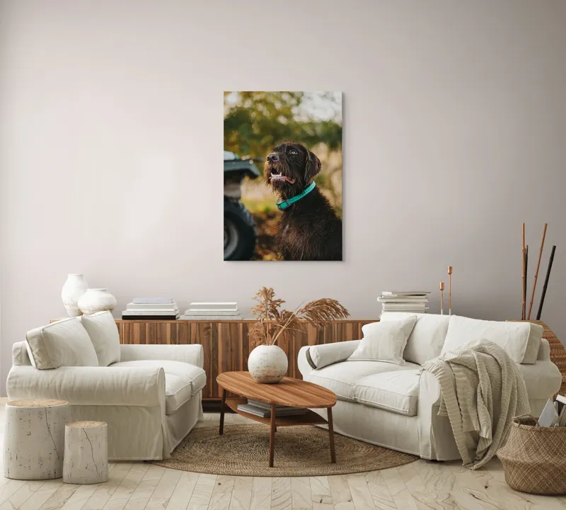 Tablou Canvas, "Câinele fericit în natură verde", 70 x 100 cm – poza 4