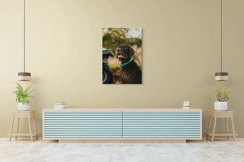 Tablou Canvas, "Câinele fericit în natură verde", 70 x 100 cm – poza 5