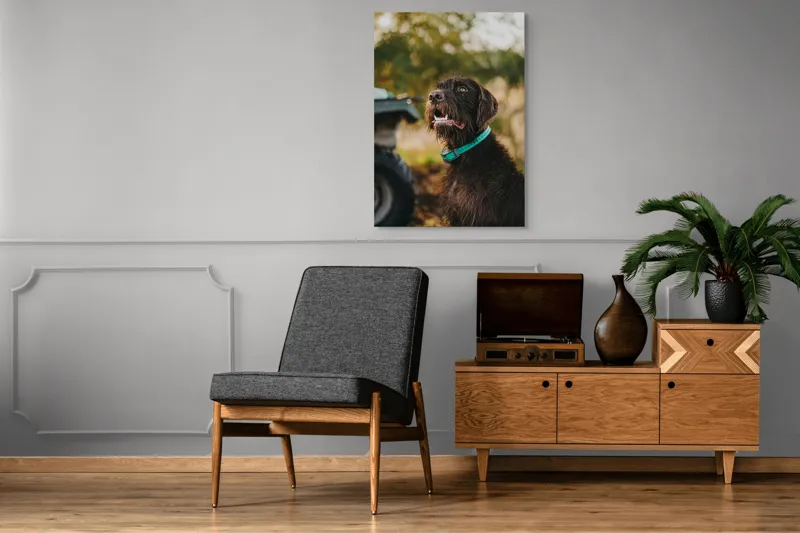 Tablou Canvas, "Câinele fericit în natură verde", 70 x 100 cm – poza 6