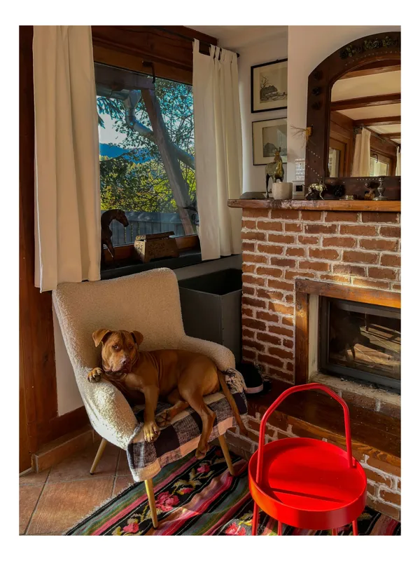 Tablou Canvas, "Câine odihnindu-se lângă șemineu", Cățel, Fotoliu, Șemineu, Fereastră, Perdea, Decor, Tablouri, Covor, Lumină, Scaun Roșu, Lemn, Cărămizi, Relaxare, Frunze, Peisaj., 70 x 100 cm