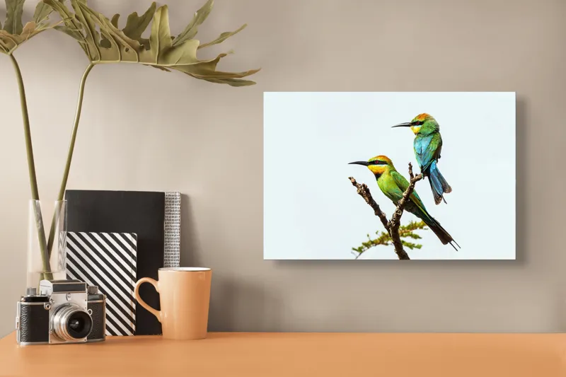 Tablou Canvas, "Păsări colorate pe creanga subțire", Nu pot identifica păsările din imagine, dar pot să îți spun că sunt colorate frumos., 39 x 26 cm – poza 3