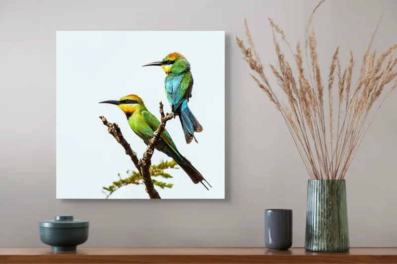 Tablou Canvas, "Păsări colorate pe creanga subțire", Nu pot identifica păsările din imagine, dar pot să îți spun că sunt colorate frumos., 50 x 50 cm – poza 4