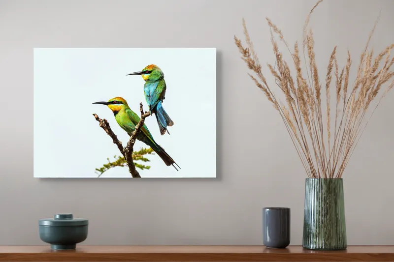 Tablou Canvas, "Păsări colorate pe creanga subțire", 54 x 39 cm – poza 4