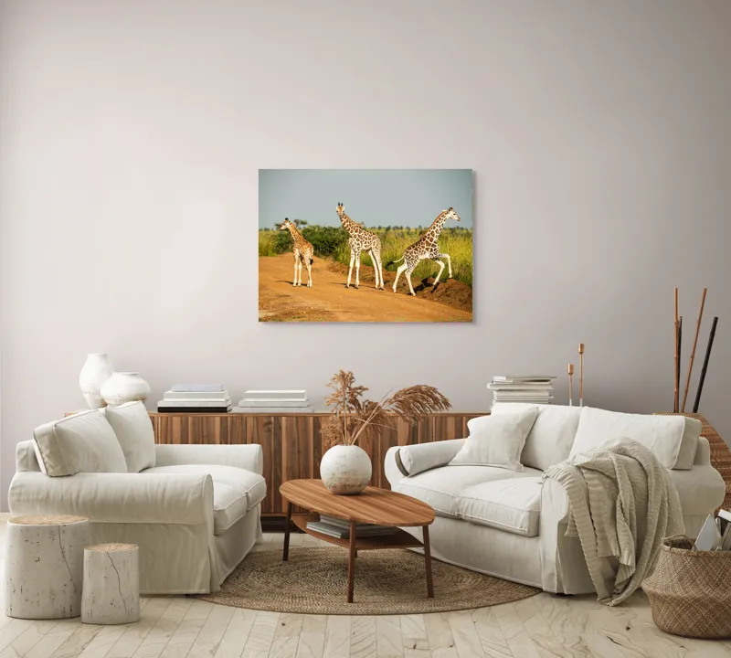 Tablou Canvas, "Girafe traversând drumul în savană", Girafe, Drum, Iarbă, Cer, Peisaj, Natură, Savannah, Animale, Fericire, Aventură, 100 x 70 cm – poza 3