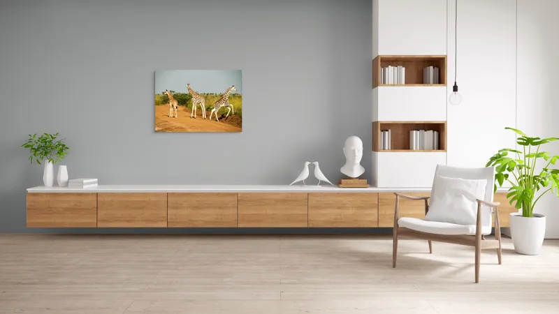 Tablou Canvas, "Girafe traversând drumul în savană", Girafe, Drum, Iarbă, Cer, Peisaj, Natură, Savannah, Animale, Fericire, Aventură, 100 x 70 cm – poza 6