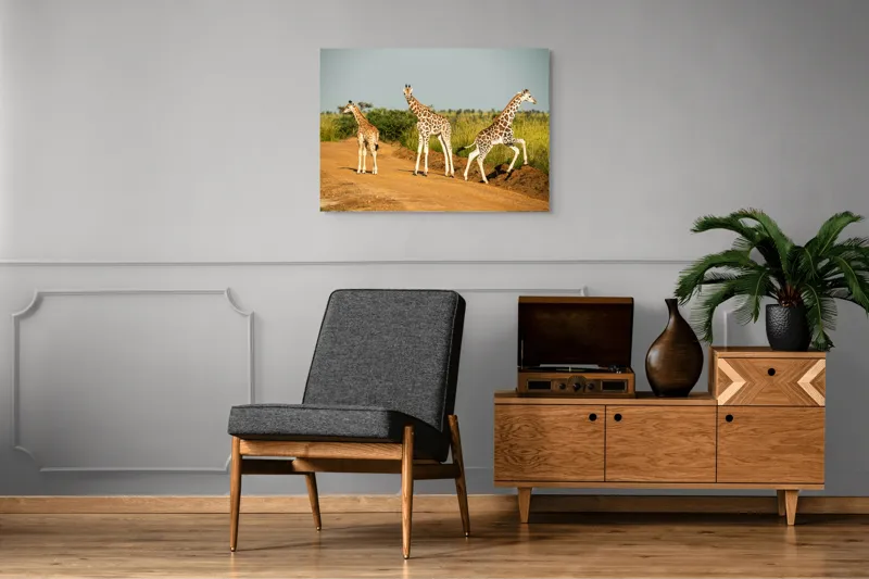 Tablou Canvas, "Girafe traversând drumul în savană", Girafe, Drum, Iarbă, Cer, Peisaj, Natură, Savannah, Animale, Fericire, Aventură, 100 x 70 cm – poza 8