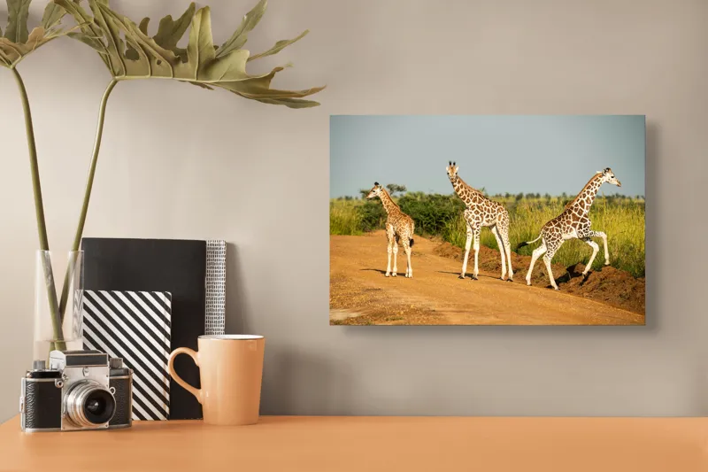 Tablou Canvas, "Girafe traversând drumul în savană", Girafe, Drum, Iarbă, Cer, Peisaj, Natură, Savannah, Animale, Fericire, Aventură, 39 x 26 cm – poza 3