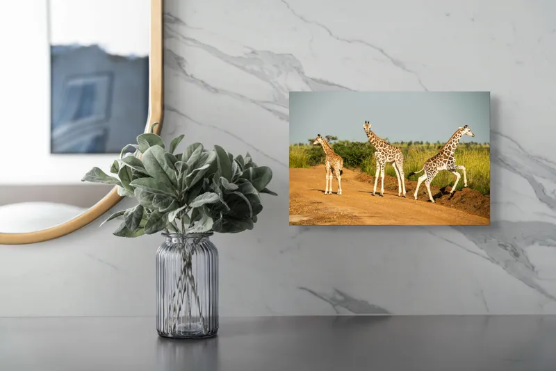 Tablou Canvas, "Girafe traversând drumul în savană", Girafe, Drum, Iarbă, Cer, Peisaj, Natură, Savannah, Animale, Fericire, Aventură, 39 x 26 cm – poza 5