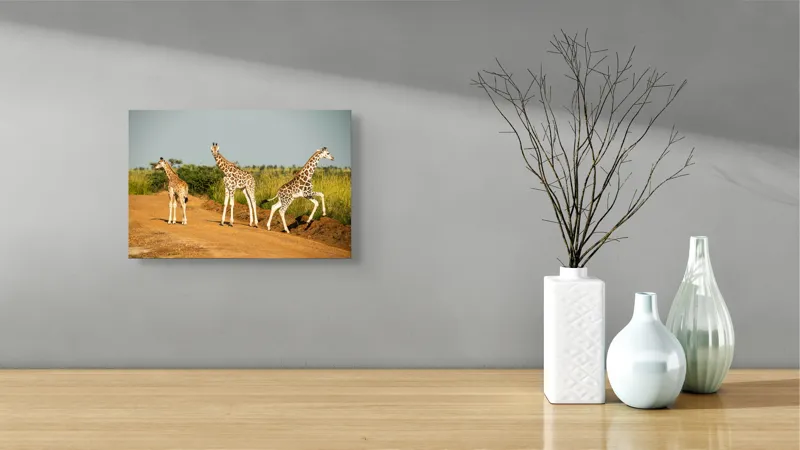 Tablou Canvas, "Girafe traversând drumul în savană", Girafe, Drum, Iarbă, Cer, Peisaj, Natură, Savannah, Animale, Fericire, Aventură, 39 x 26 cm – poza 8