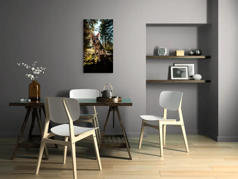 Tablou Canvas, "Câine fericit în lumina pădurii", Lup, Pădure, Mușchi, Luminos, Cald, Blană, Natură, Zâmbet, Viu, Senin., 50 x 90 cm – poza 4