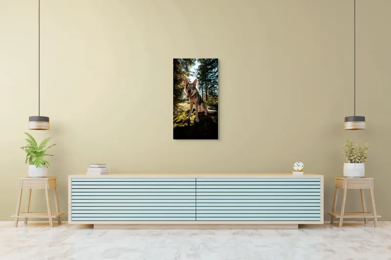 Tablou Canvas, "Câine fericit în lumina pădurii", Lup, Pădure, Mușchi, Luminos, Cald, Blană, Natură, Zâmbet, Viu, Senin., 50 x 90 cm – poza 6