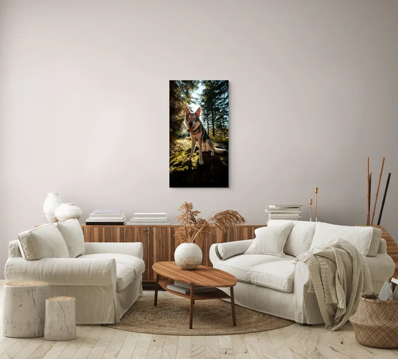 Tablou Canvas, "Câine fericit în lumina pădurii", Lup, Pădure, Mușchi, Luminos, Cald, Blană, Natură, Zâmbet, Viu, Senin., 50 x 90 cm – poza 7