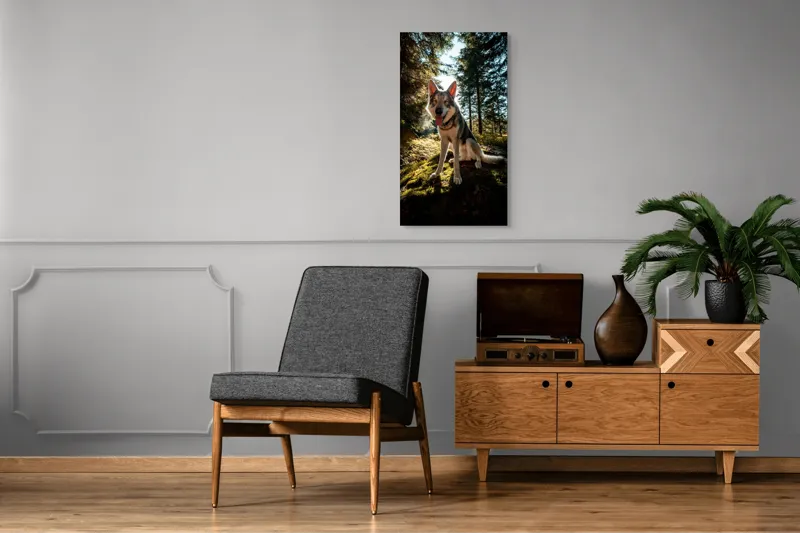 Tablou Canvas, "Câine fericit în lumina pădurii", Lup, Pădure, Mușchi, Luminos, Cald, Blană, Natură, Zâmbet, Viu, Senin., 50 x 90 cm – poza 8